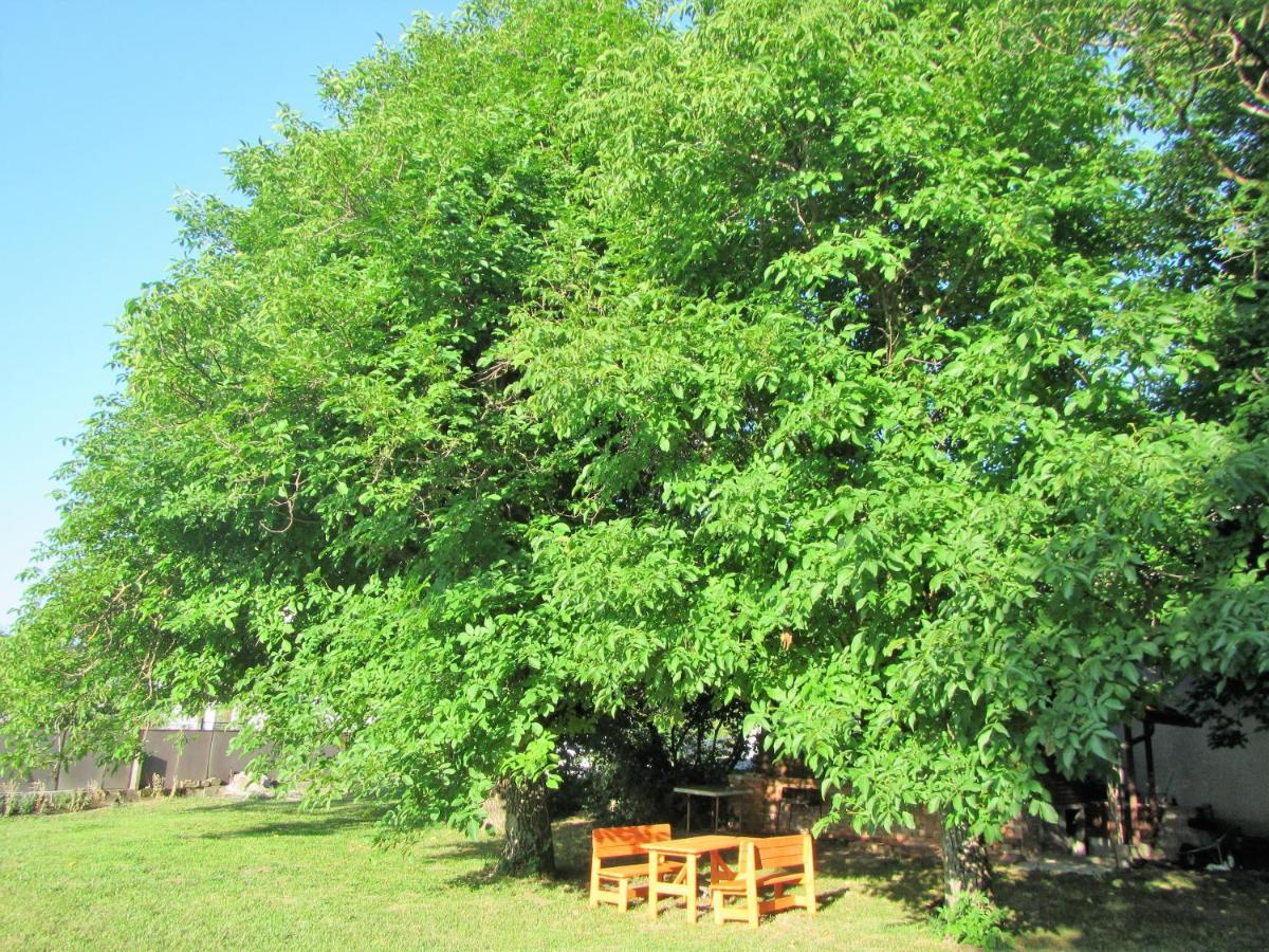 Pod Orehi Bed & Breakfast Postojna Bagian luar foto