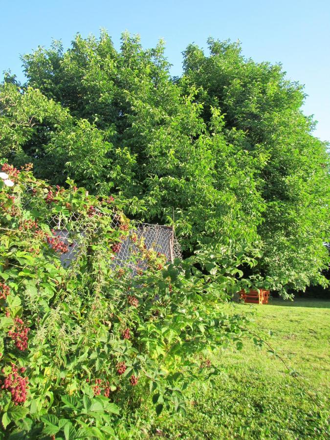 Pod Orehi Bed & Breakfast Postojna Bagian luar foto