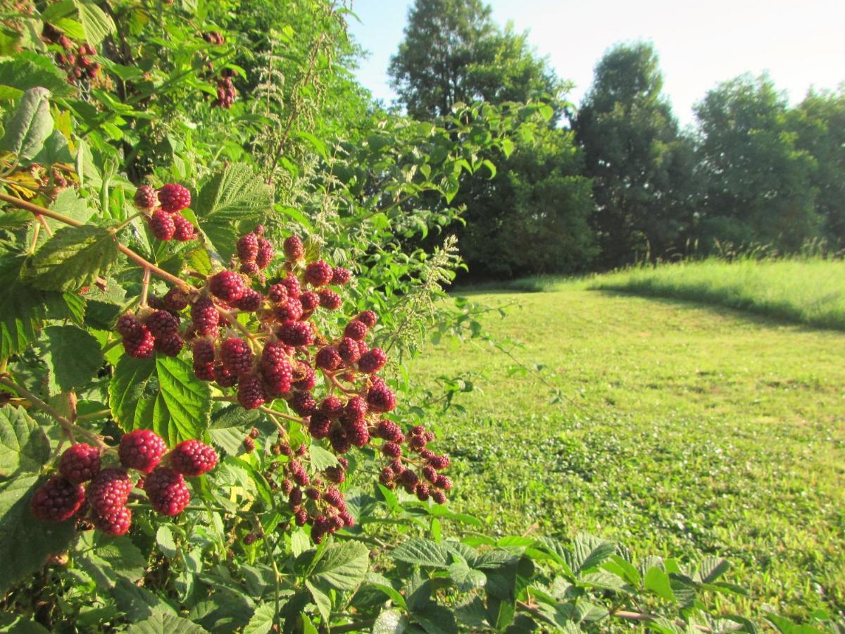 Pod Orehi Bed & Breakfast Postojna Bagian luar foto