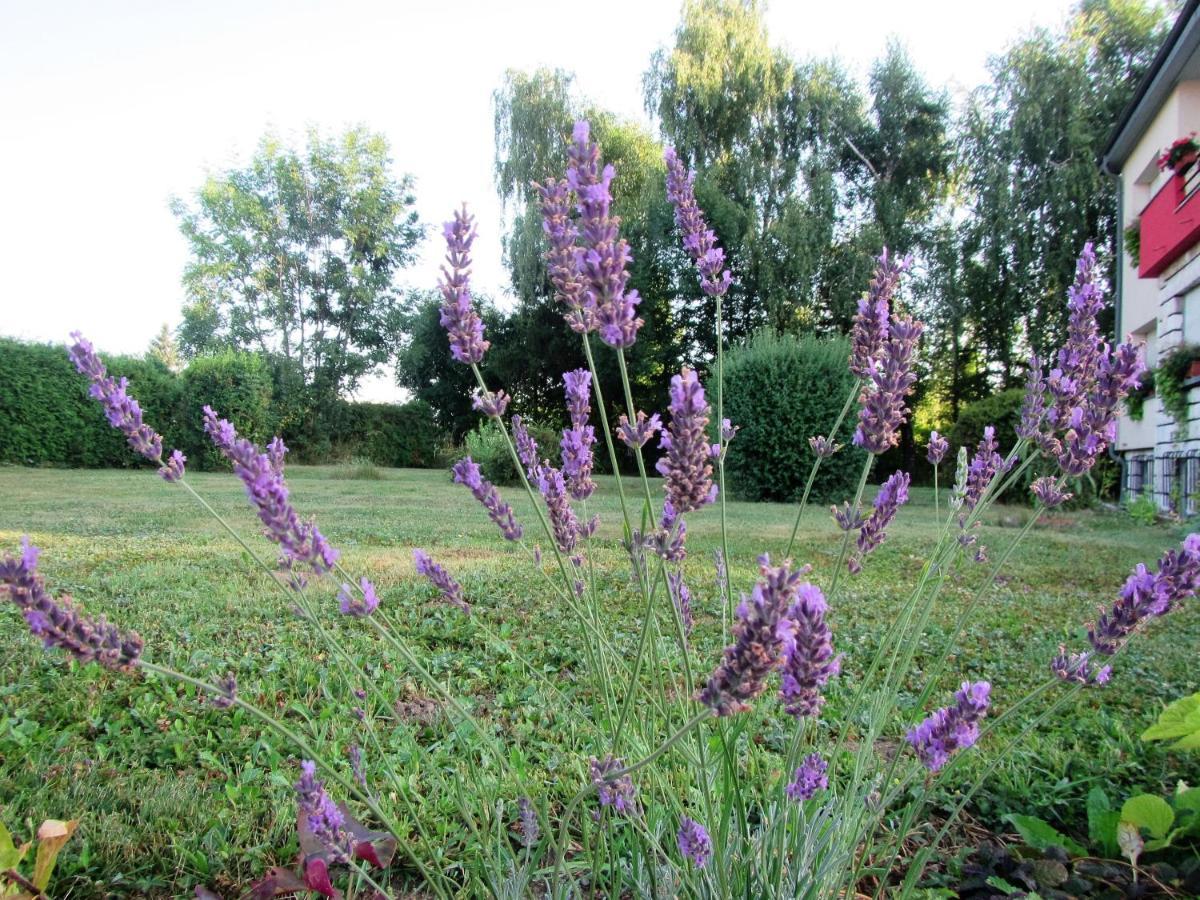 Pod Orehi Bed & Breakfast Postojna Bagian luar foto