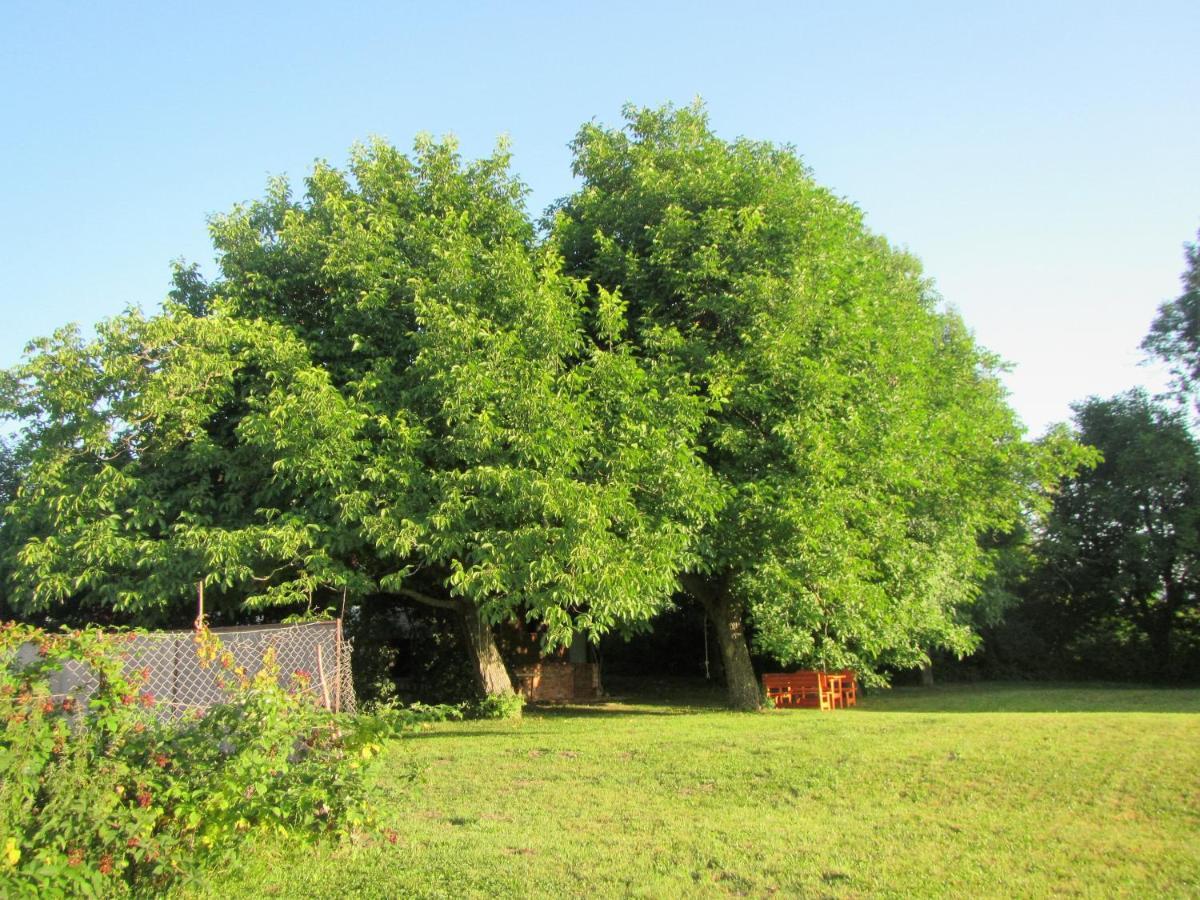 Pod Orehi Bed & Breakfast Postojna Bagian luar foto