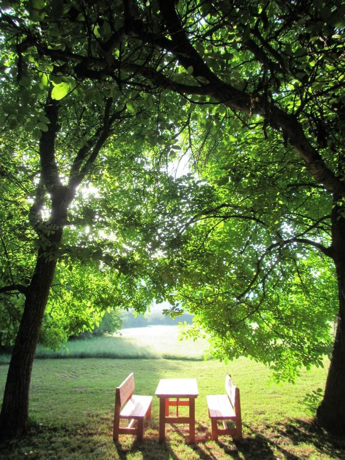 Pod Orehi Bed & Breakfast Postojna Bagian luar foto