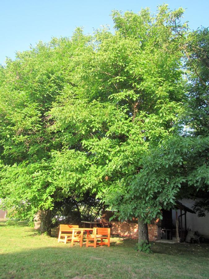 Pod Orehi Bed & Breakfast Postojna Bagian luar foto