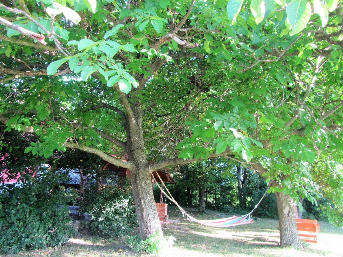 Pod Orehi Bed & Breakfast Postojna Bagian luar foto