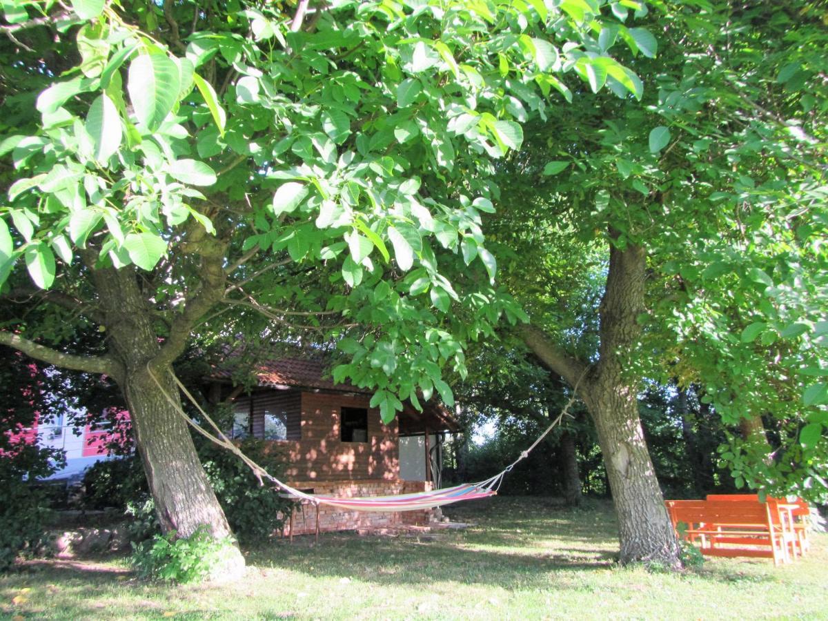 Pod Orehi Bed & Breakfast Postojna Bagian luar foto