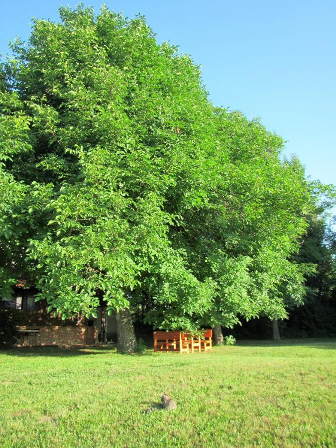 Pod Orehi Bed & Breakfast Postojna Bagian luar foto